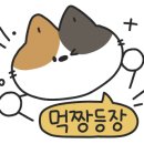 애항아리보쌈 이미지