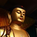 마니개발