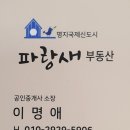 플라이하이태권도 이미지