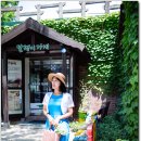 죽화경 Daum카페