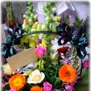 지노메디 이미지