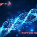 셀이즈의원 이미지