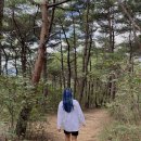 상주낙동우체국 이미지