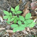 병수네농장 이미지