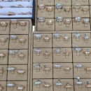 현대보석 이미지