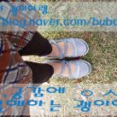 저청초등학교 | [트래비뉴와 함께하는 제주도 캠핑여행 후기]