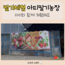 농장사람들암사점 | 남양주딸기농장 - 아이랑 함께 체험해요(아띠딸기농장)