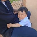 [일상] 육아 탈출! 가성비 최고의 오마카세, 광교 '스시소라' 찐 후기