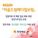 드림 메디컬 이미지