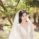 이소나 카카오 검색결과