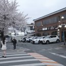 백복수반 이미지