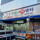 수정활어회센타