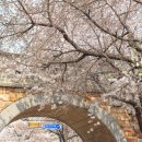 화성청과 이미지