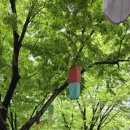 효림재가노인지원센터 이미지