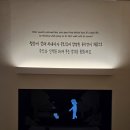 한되 | 키크니 특별전 첫날가서 폭풍오열한 사람이 되 ddp전시회 후기