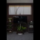 제주독채펜션 돌담감성숙소 흐레 이미지