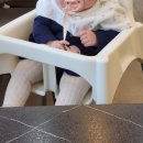 춘천닭갈비 | [대전 태평동 맛집] 항아리 숙성으로 더 야들야들한 '춘천닭갈비막국수' 후기