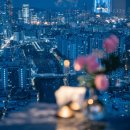 세인트41 이미지