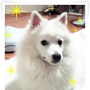쿠모 이미지