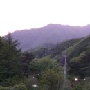 민주지산자연휴양림 이미지