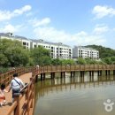 오도산자연휴양림(합천) 이미지