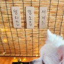라이포차