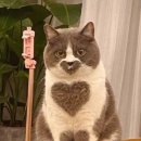 휘이