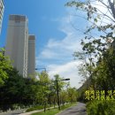 동상동(1450) 네이버블로그