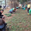 상남면 행정복지센터 이미지