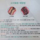 춘천시청 이미지