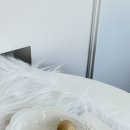 대전 대흥동 조향사와 함께하는 향수 원데이클래스 | 스테이센트 향수공방 후기
