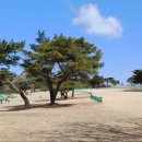 그린파크장 이미지