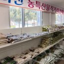 화천산천어가공 연합뉴스