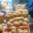 원천농장 이미지