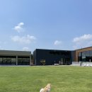 개들랜드 이미지