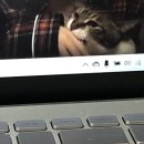 오람비