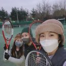 초안산테니스장 이미지