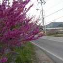 홍연폭포 이미지