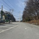 여주-0262 이미지