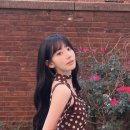 르무드헤어