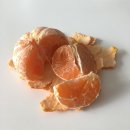 제일양분식 - 동래구 석사북로 9 | 제일양분식
