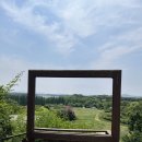 충남 가볼만한 곳 예산 아그로랜드 태신목장