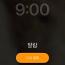일상이 맛집 투어입니다만 #1
