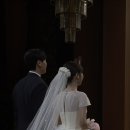 로젤리스냅 이미지
