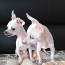 금오동물병원 이미지