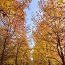 경상남도수목원주차장 이미지