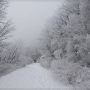 2월 15일 월요일 가지산 눈꽃산행 ~^^ 이미지