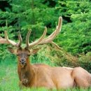 목양한의원 이미지