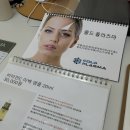 플라즈마헤베