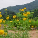 키다리농장 이미지